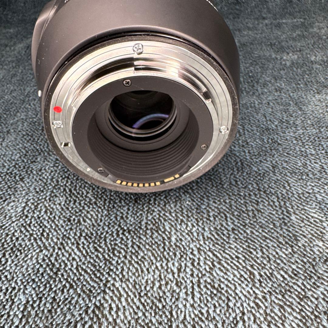 SIGMA 100-400mm F5-6.3 DG OS HSM ズームレンズ