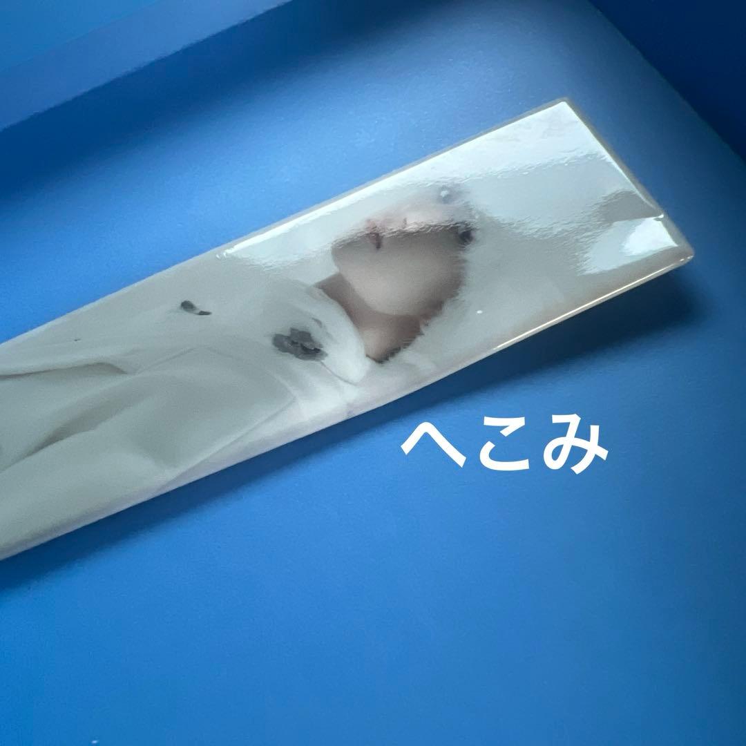 セブチ　the8 ミンハオ　缶バッジ　アクスタ　まとめ売り