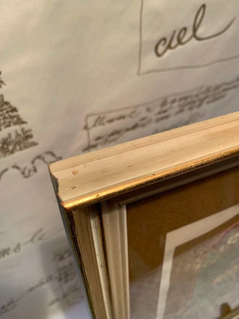 フランス製　アンティーク　1890年の装飾図案集色刷石版額装！花柄ロマンチック！