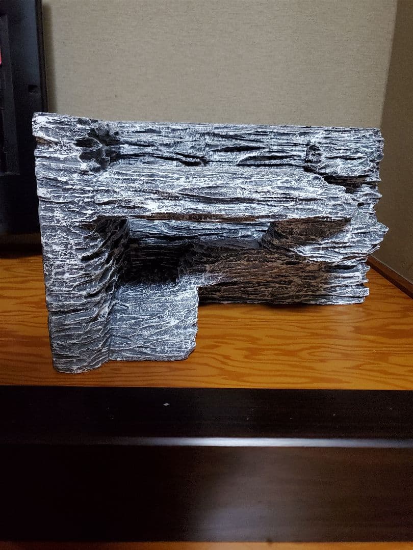 爬虫類バックボード