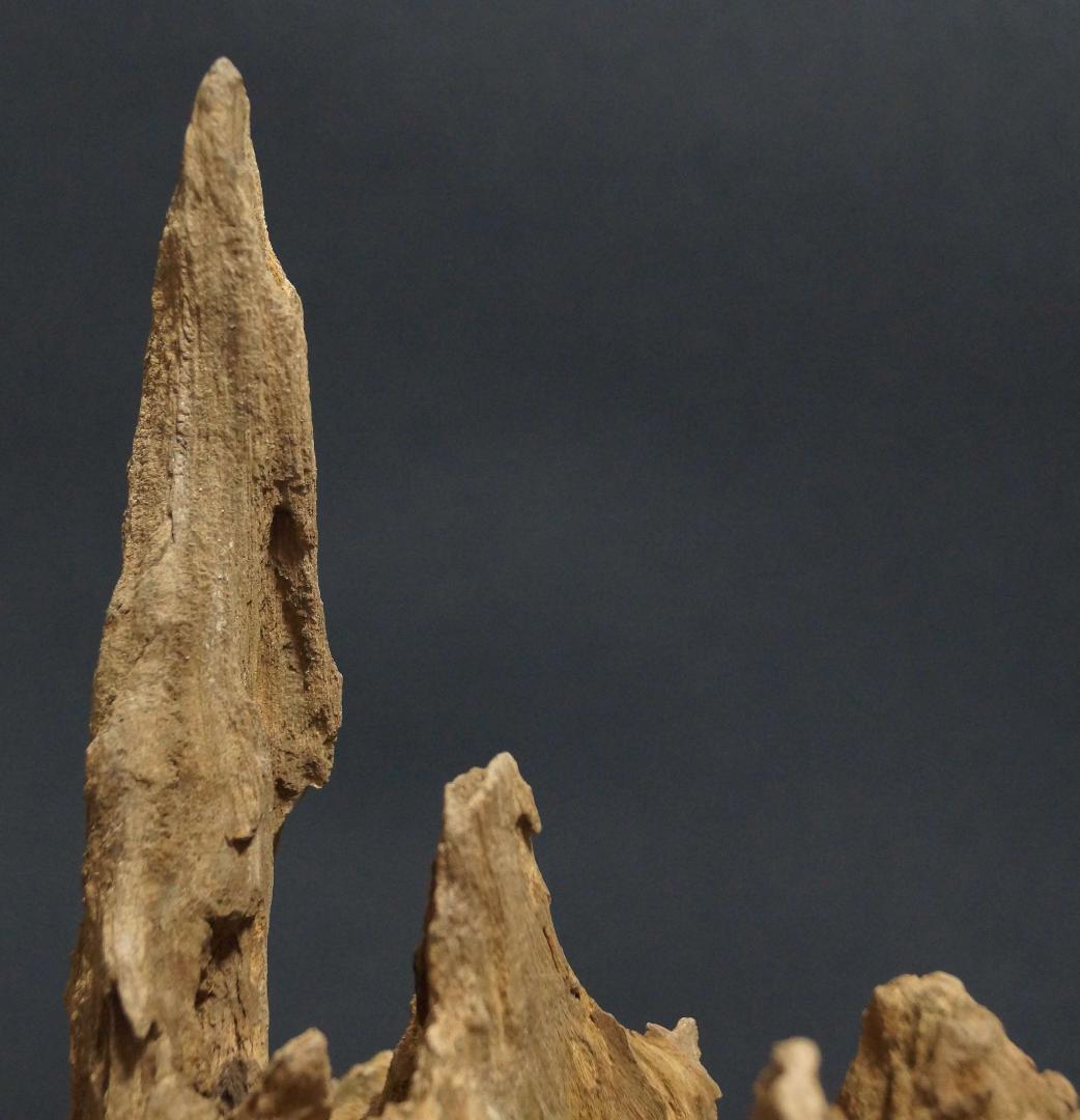 インド産 天然古白檀 特大香木 原木 自然体 山形香木置物 古香木 重量974g