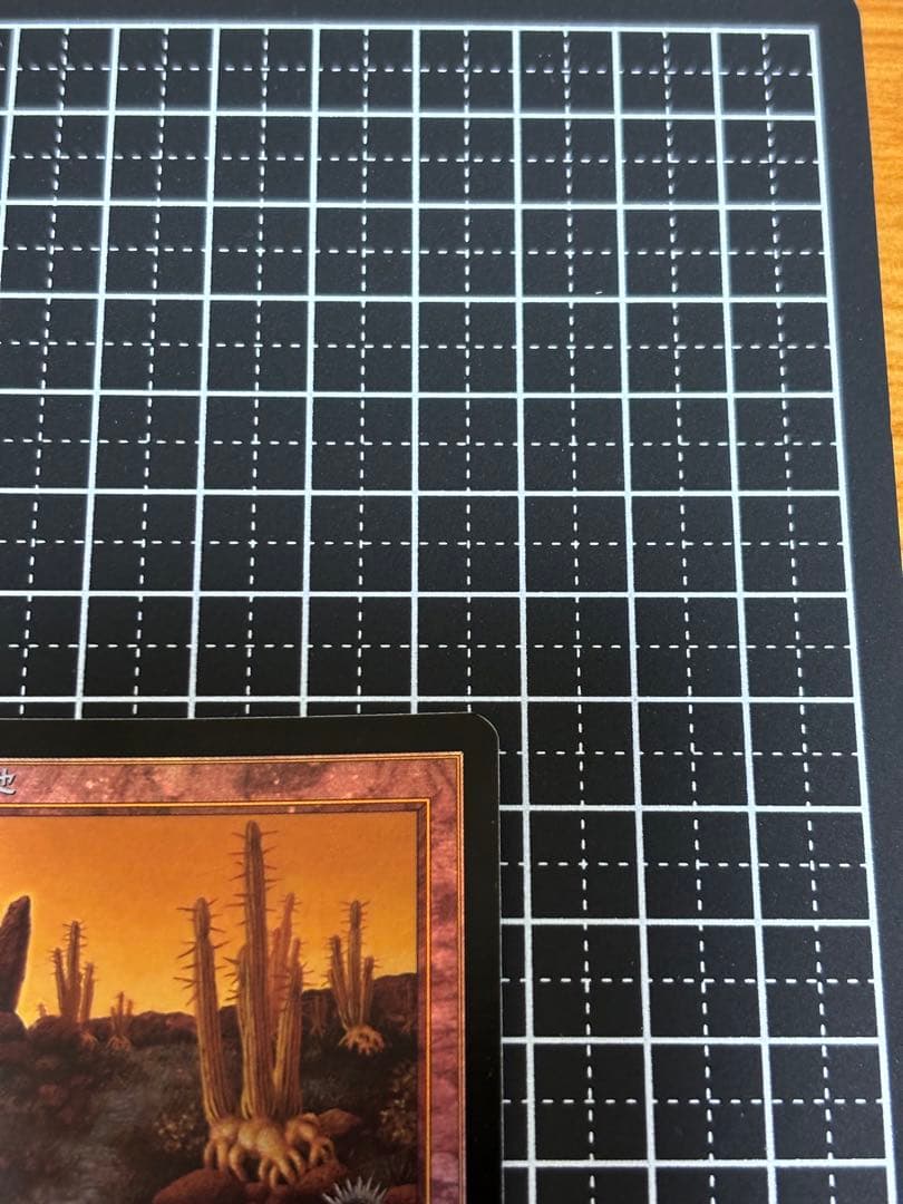 【美品】MTG 低木林地 7版 日本語 ホイル Foil マジックザギャザリング