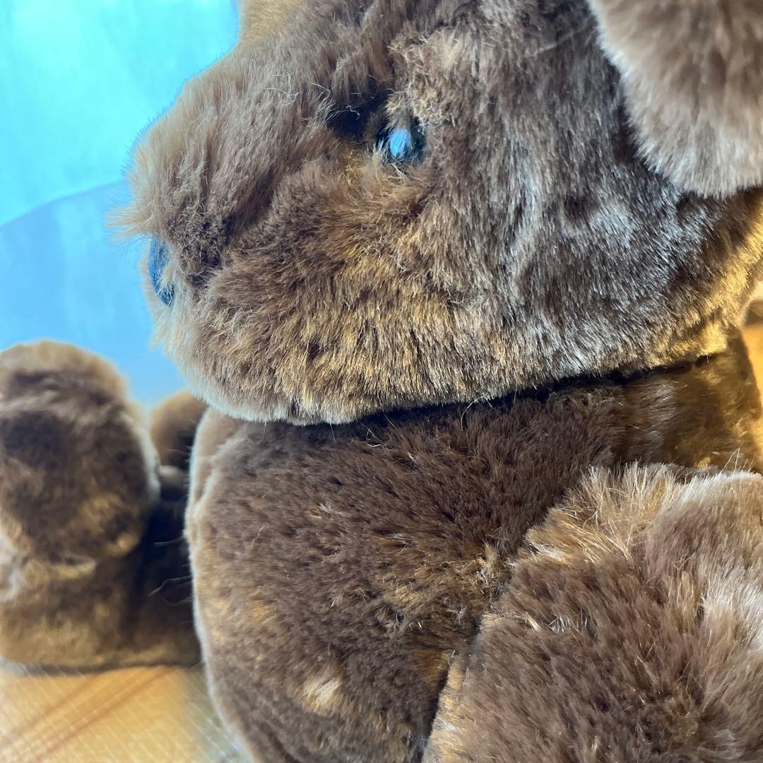 ぬいぐるみ 1998年製 965/3000 ノースアメリカンベア