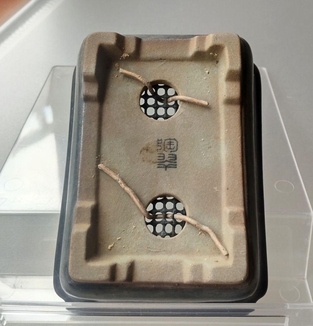 【陶翠】盆栽鉢4点セット