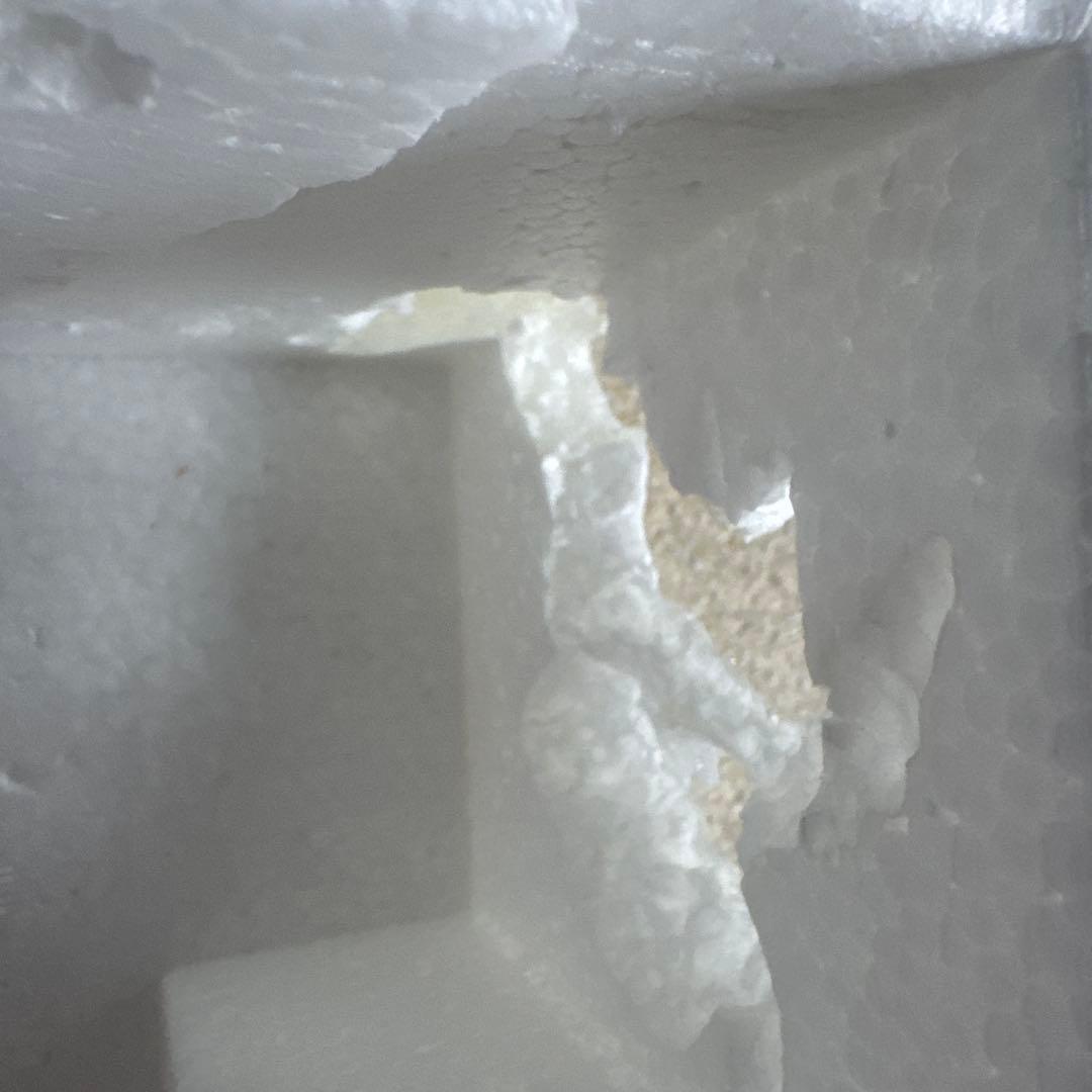 ゴジラ REAL HOBBY SERIES no.5