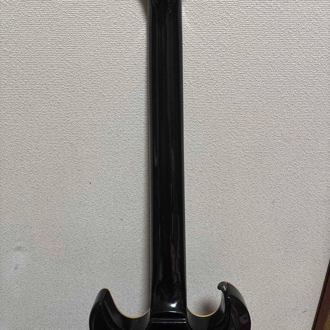 SCHECTER エレキギター　t-kisaraさん専用