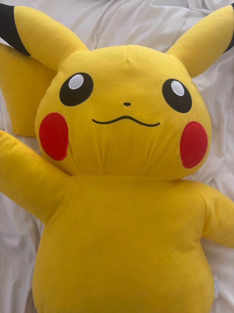 ピカチュウ ぬいぐるみ 大きめ
