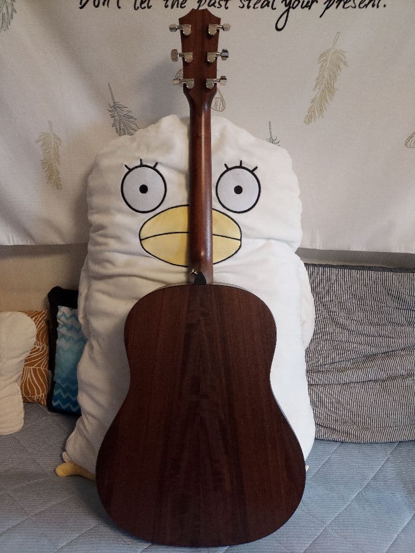 Taylor AD17 ナチュラル【American Dream】