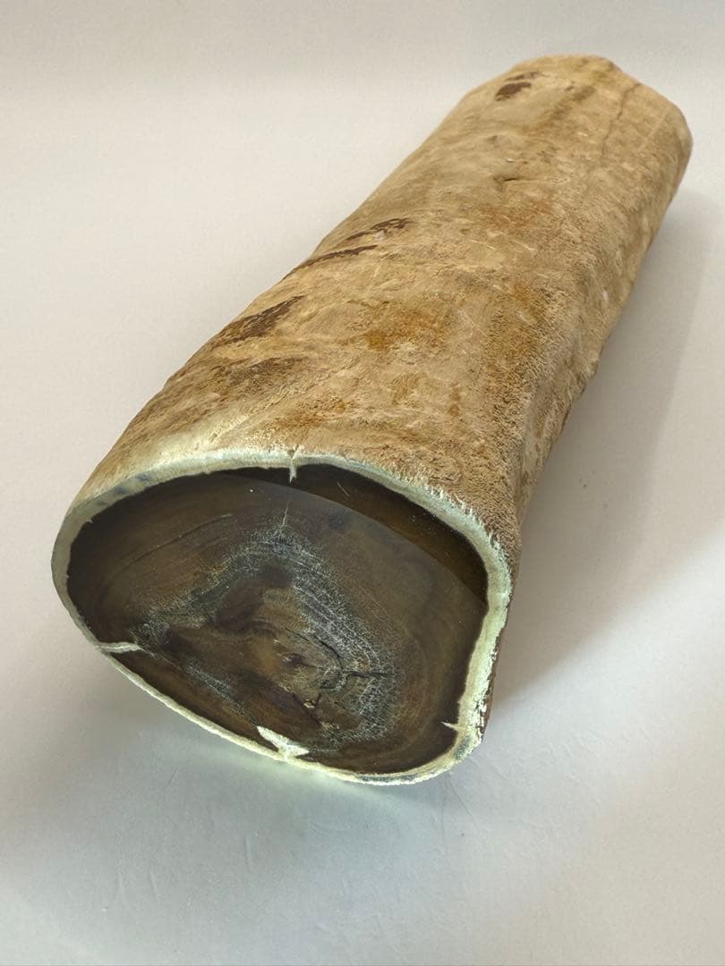 珪化木 超美品 20cm×5cm 625g