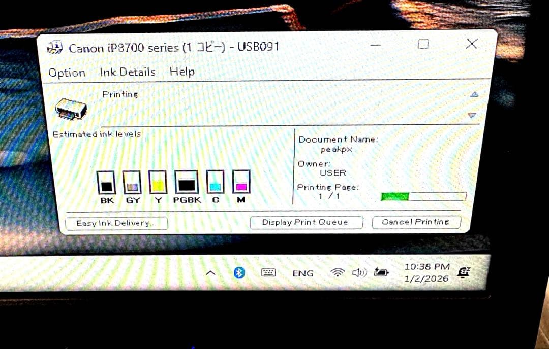 CANON PIXUS IP8730 インクジェットプリンター 1～50ページ