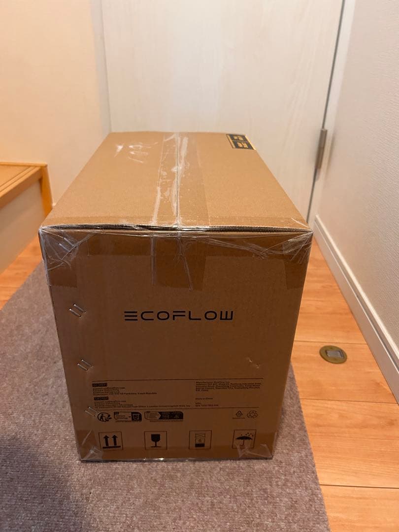 DELTA2 EcoFlow ポータブル電源　デルタ2