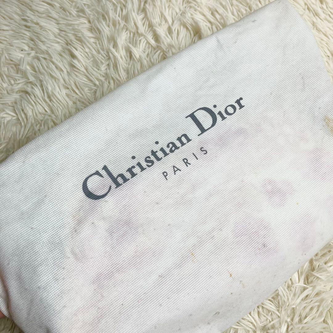 【美品・希少】 クリスチャンディオール チェーンポーチ トロッター フラワー