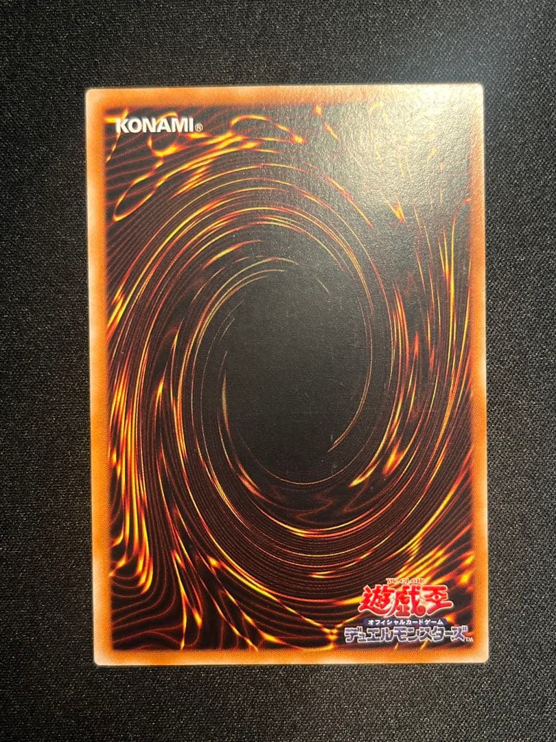 遊戯王 超魔導剣士－ブラックパラディン レリーフ