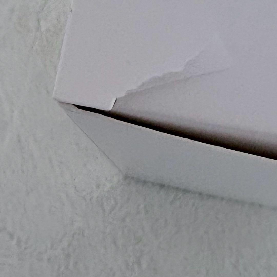 aespaペンライト ver.1 ver.2