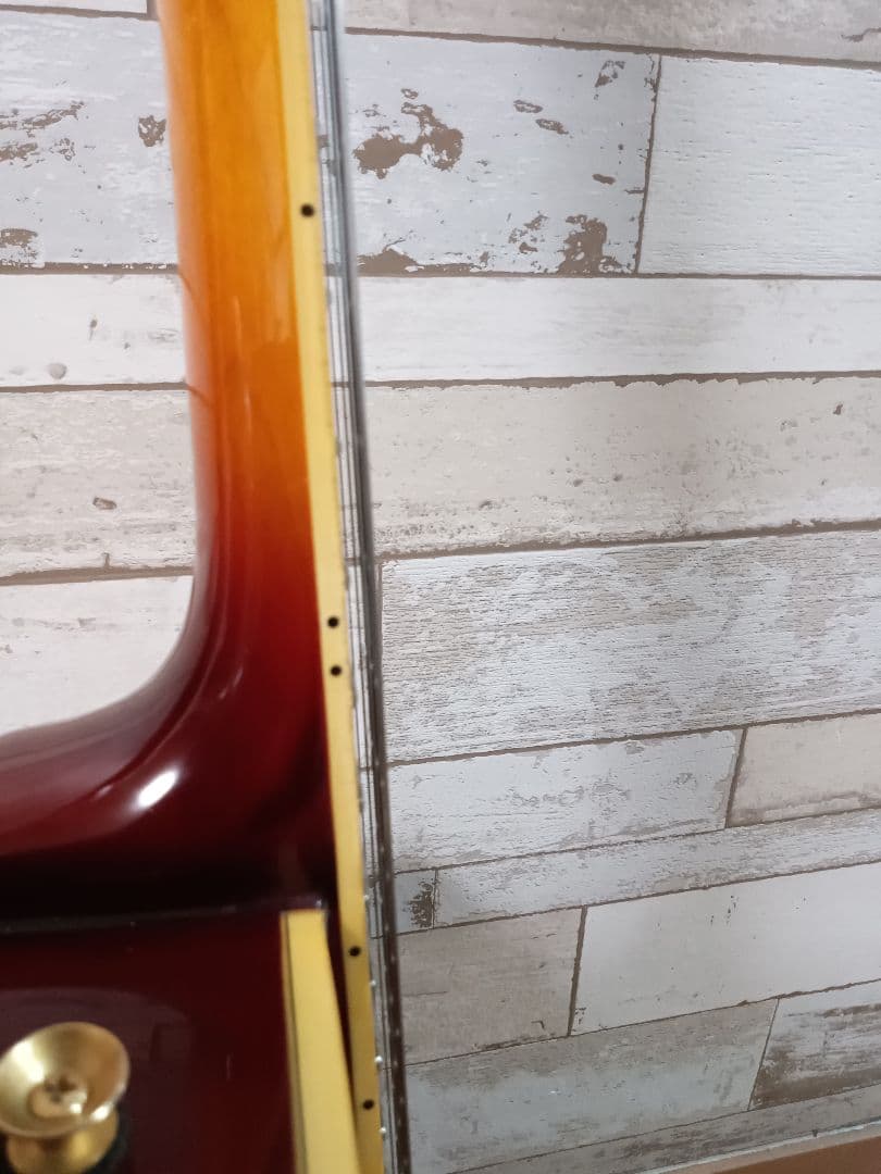 エピフォン フルアコ ジョーパス emperor II ビグスビー　ハードケース