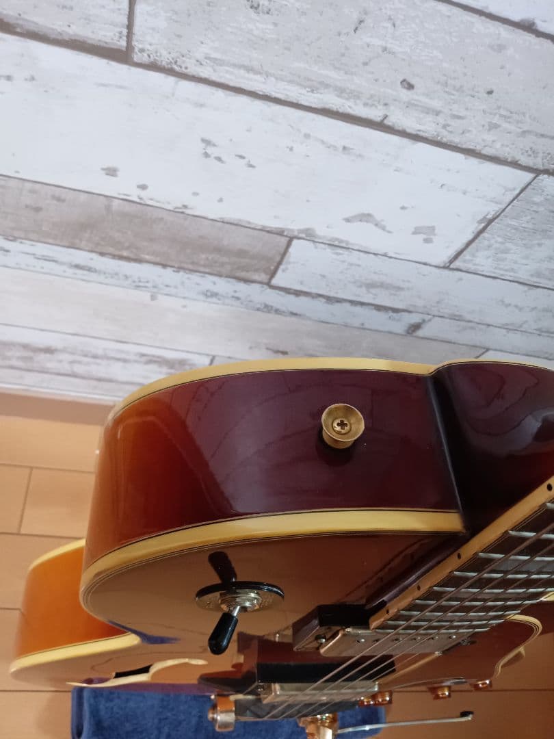 エピフォン フルアコ ジョーパス emperor II ビグスビー　ハードケース