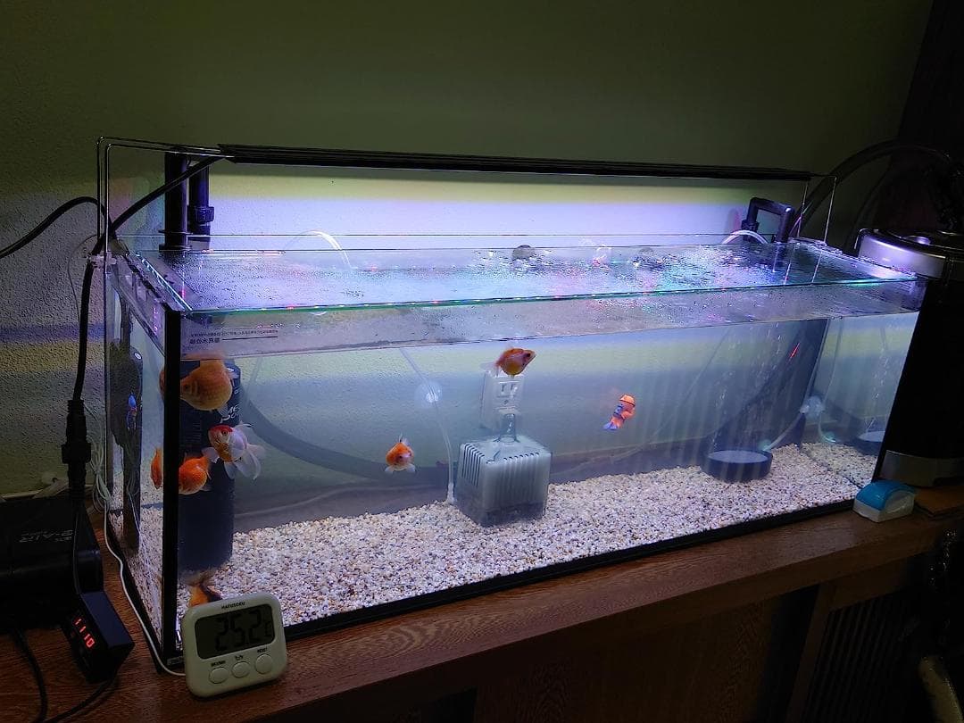 A寿工芸 寿工芸 レグラスフラット F-90S/B