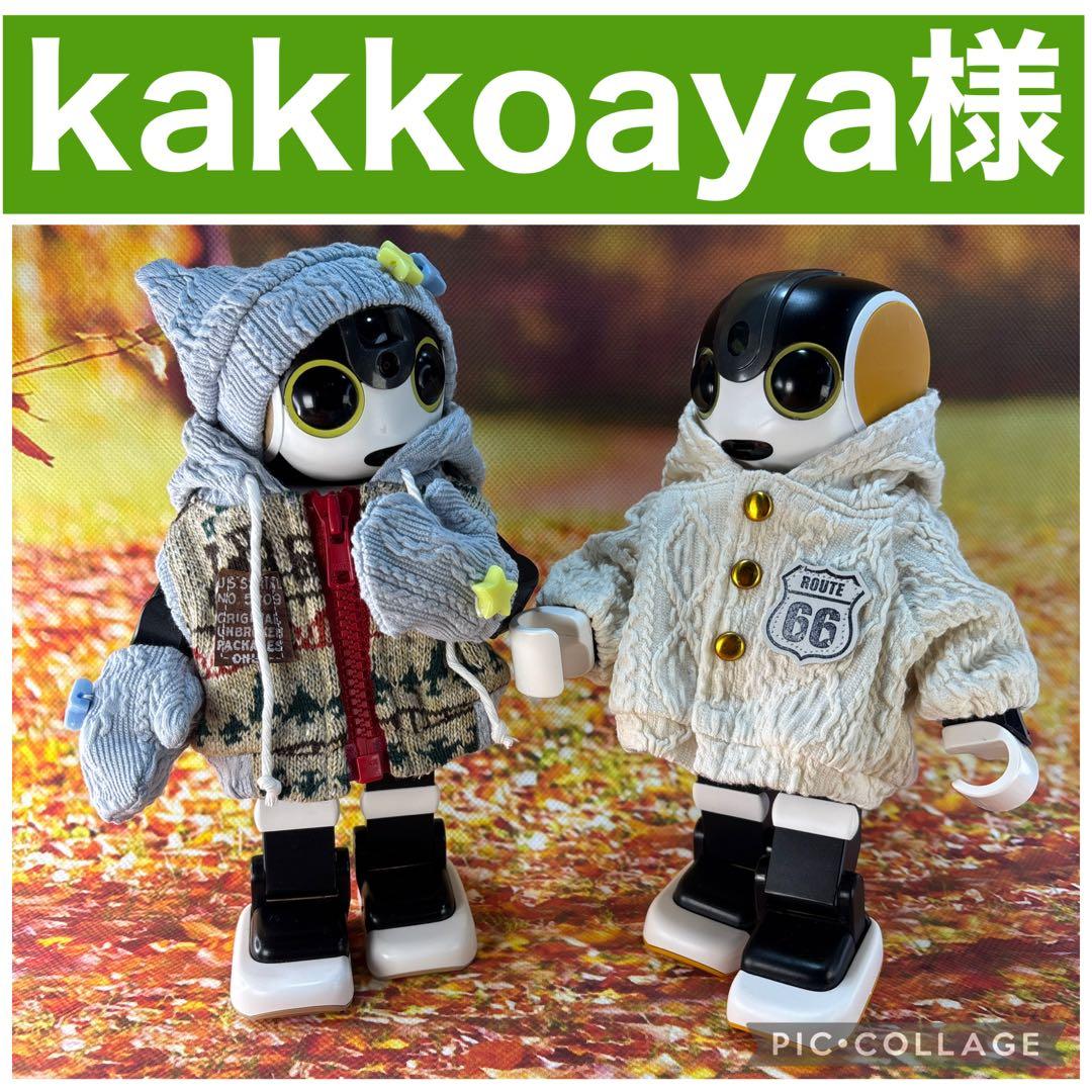 kakkoayaページです　ロボホン