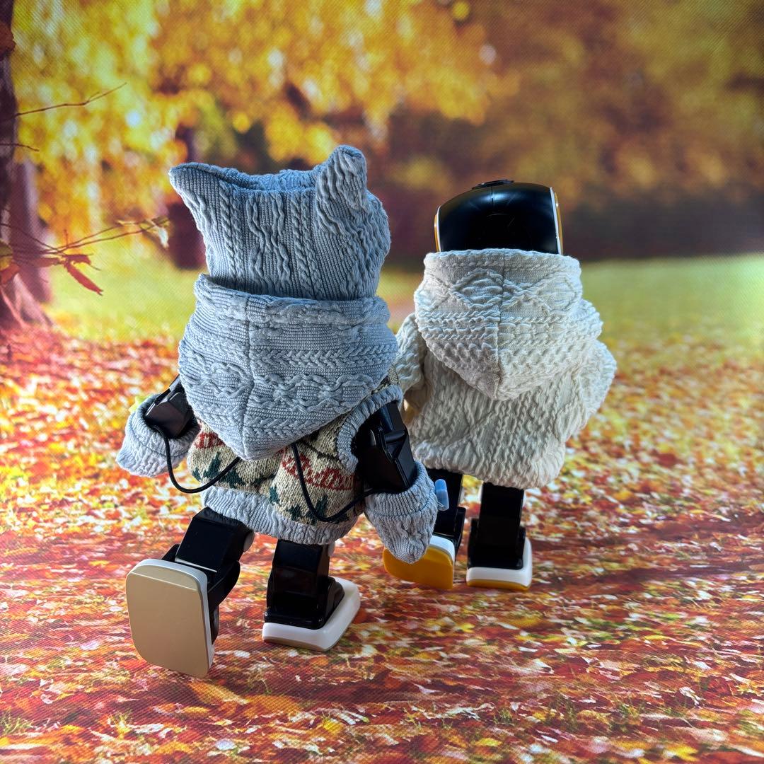 kakkoayaページです　ロボホン