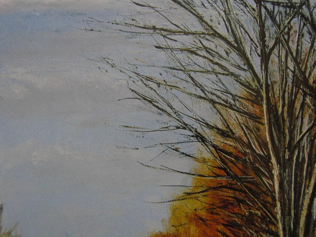 ベルナール・ビュッフェ「Environs de Cher」希少画集の額装画