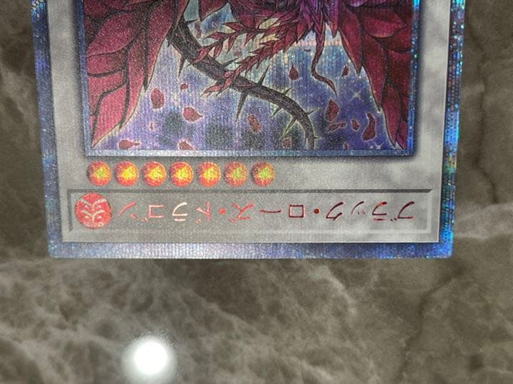 遊戯王 ブラック・ローズ・ドラゴン