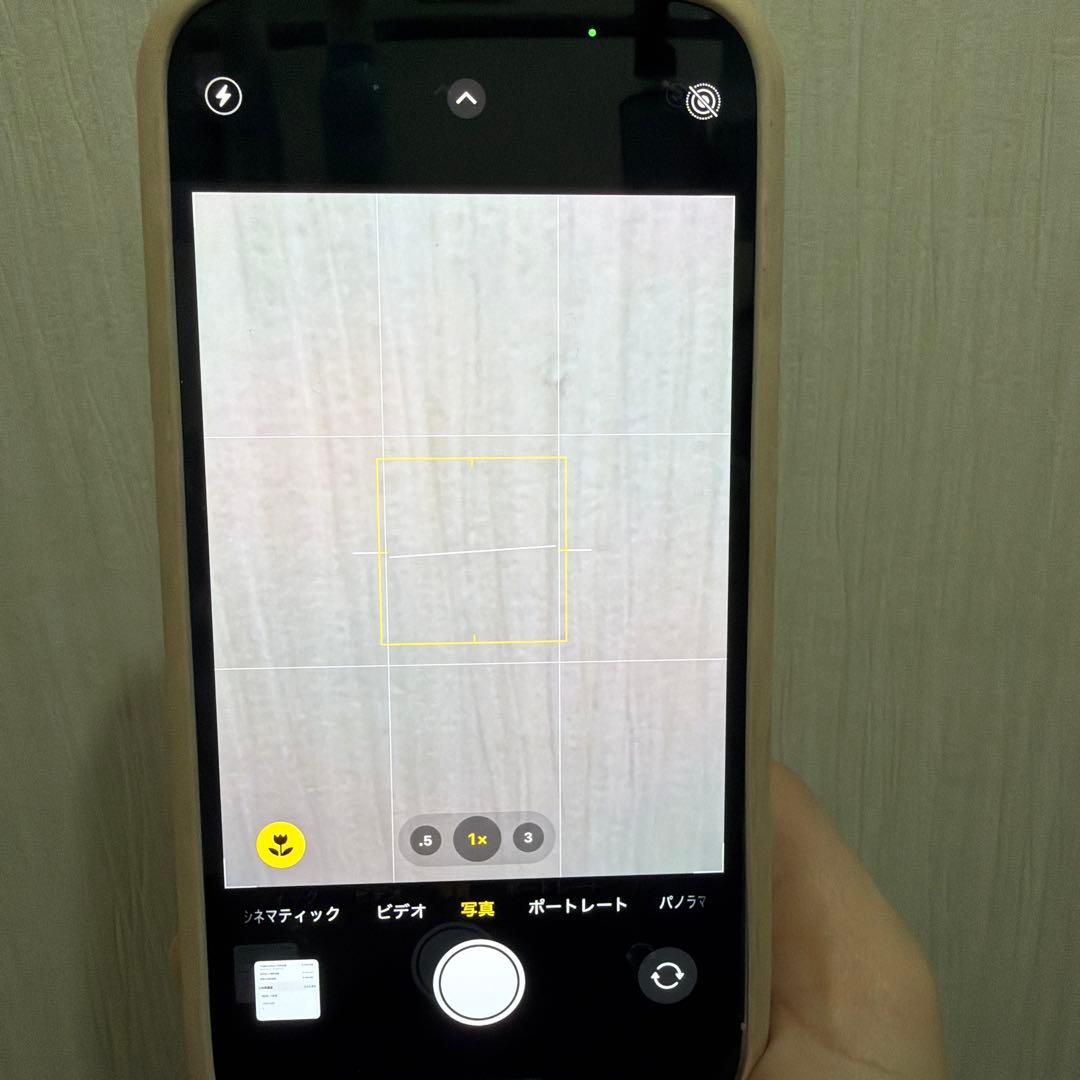 値下げ申請大歓迎⭕️iPhone13Pro 1TB ホワイト