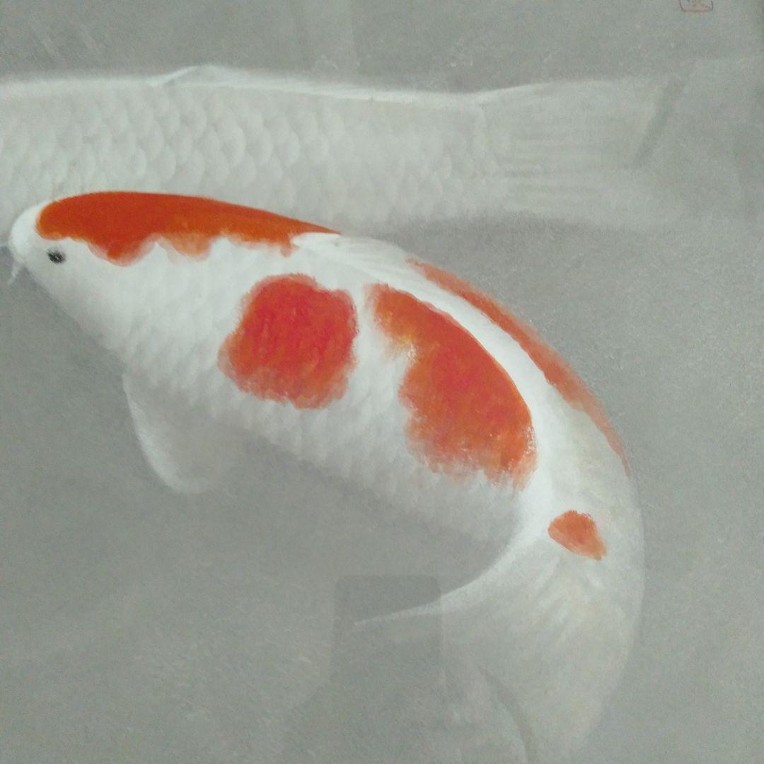 沼田晏宏 （日本画美術年鑑画家 ）「鯉」　 日本画　木製額縁付き　10号