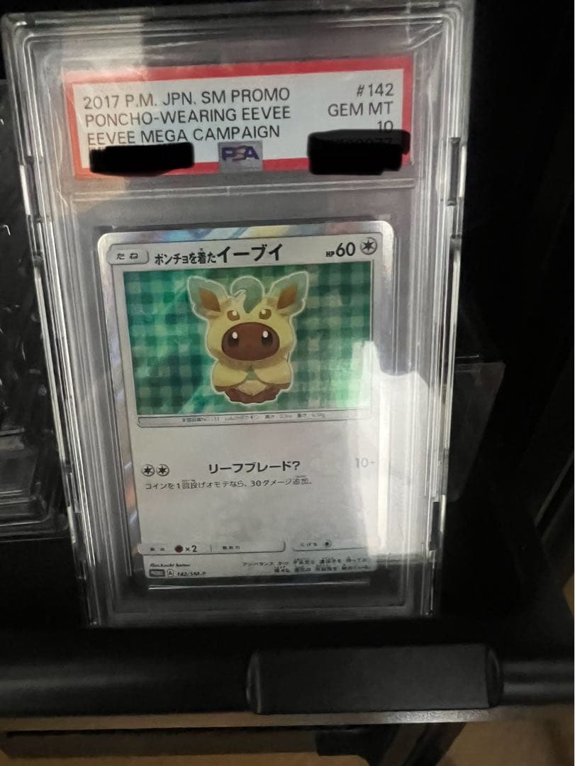 ポンチョを着たイーブイプロモPSA10