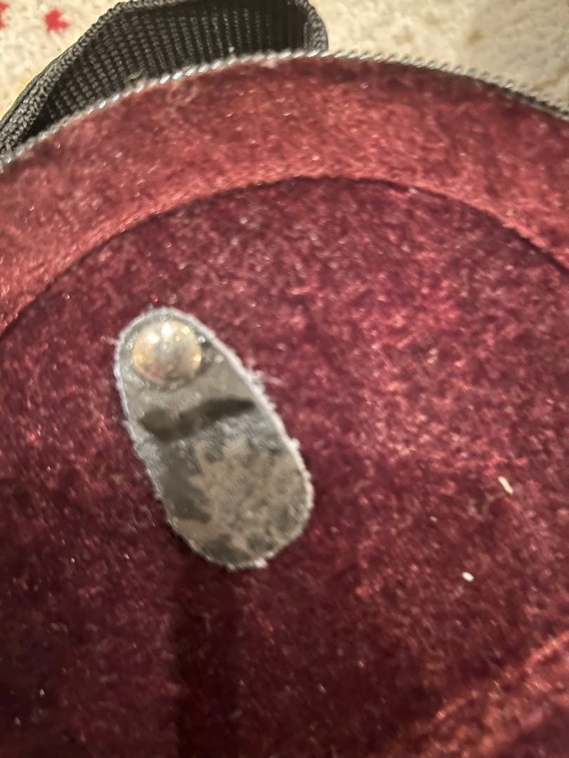 カルロジョルダーノ ヴァイオリン VS-2 4/4 ケース、弓、松脂セット