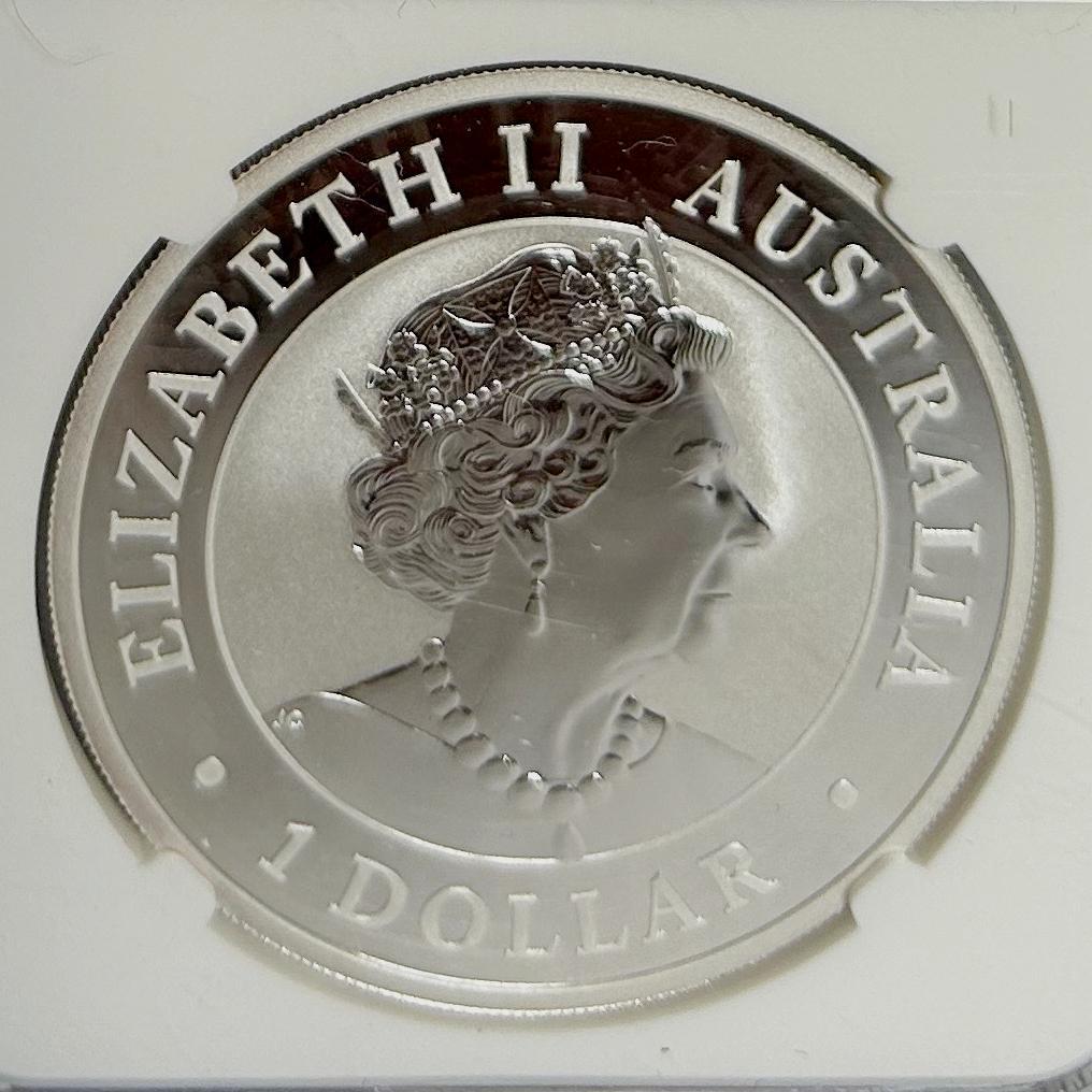 2019年 オーストラリアコアラ NGC MS70 4951314-058