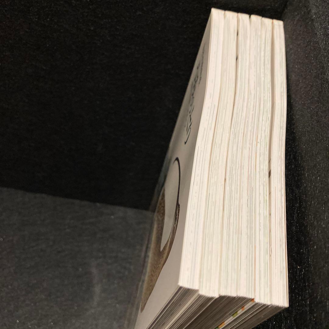 日本の野鳥セット　ペーパーブック版