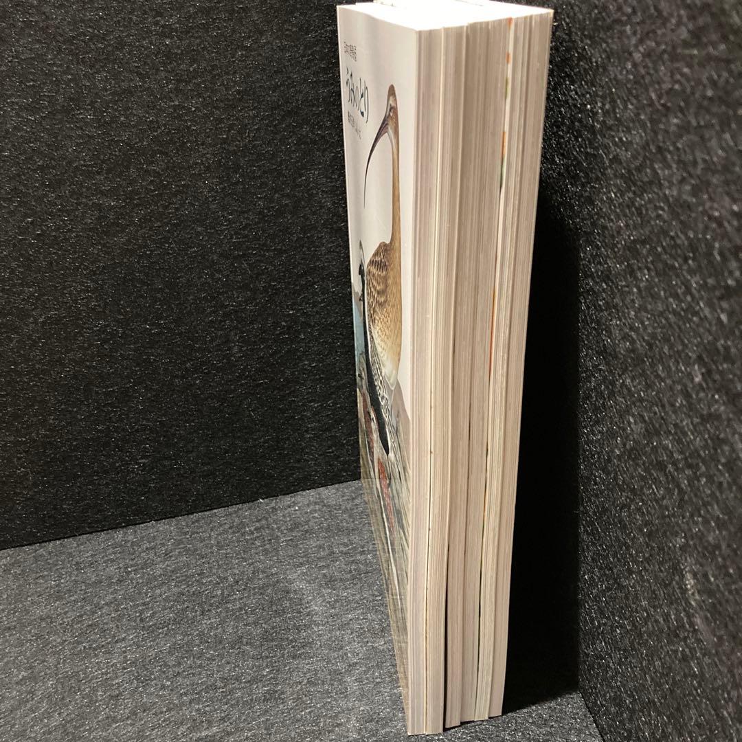 日本の野鳥セット　ペーパーブック版