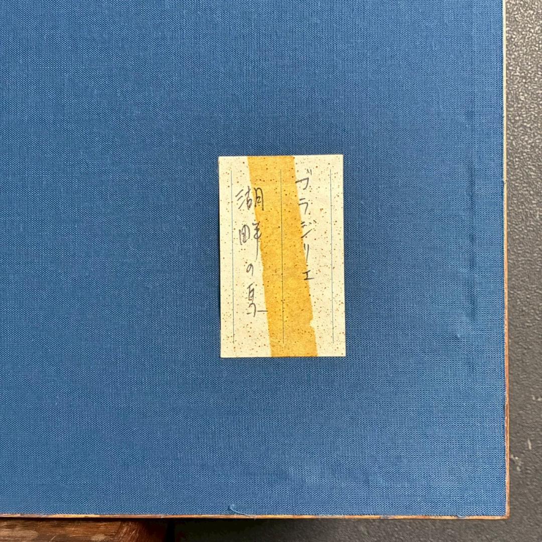 美品 アンドレ・ブラジリエ「池の小馬」リトグラフ 大作 直筆サイン入り 額縁入り