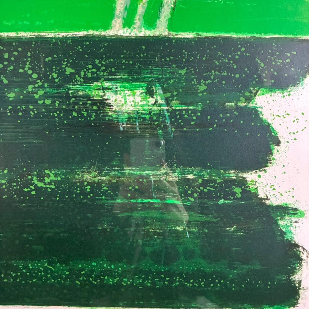 美品 アンドレ・ブラジリエ「池の小馬」リトグラフ 大作 直筆サイン入り 額縁入り