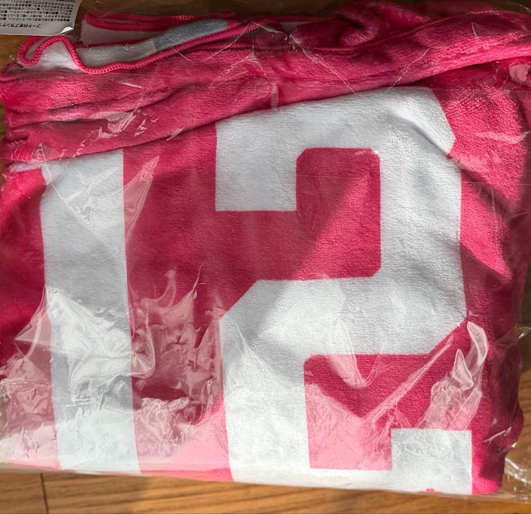 い*し様 非売品　野中瑠衣 ハンドタオル　フード付ブランケット　 ヴィクトリーナ