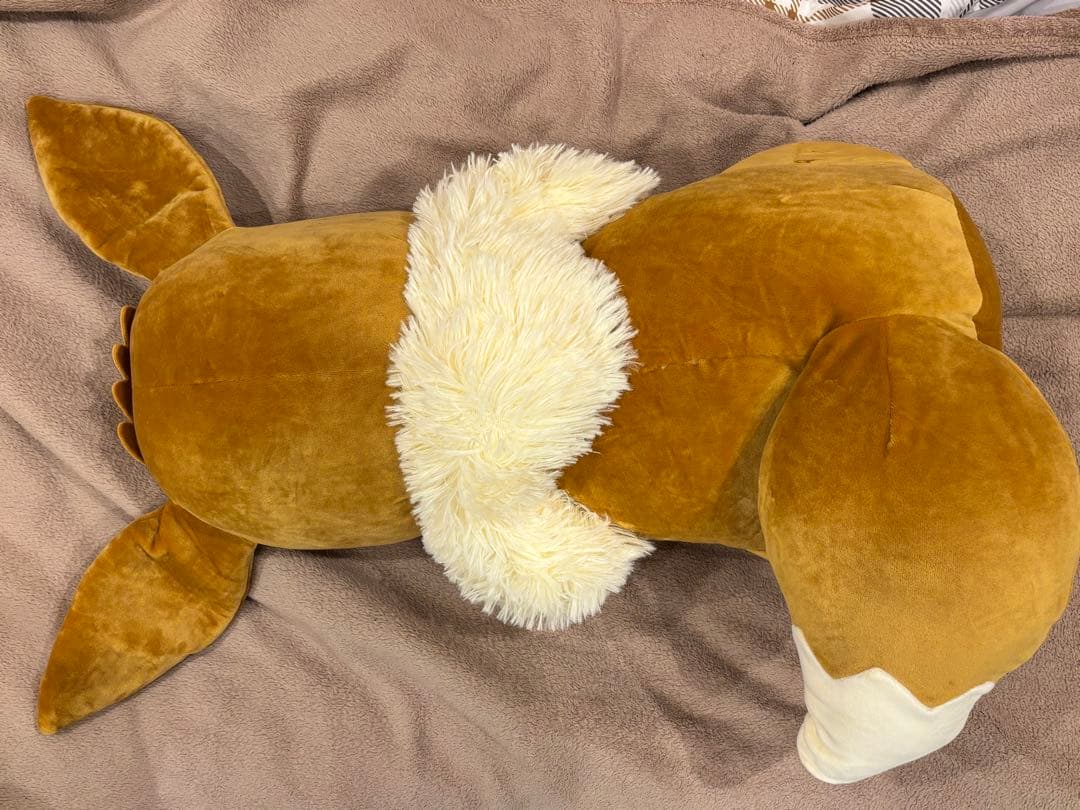 むぎゅむぎゅっとつつまれぬいぐるみ おっきなピカチュウ おっきなイーブイ セット