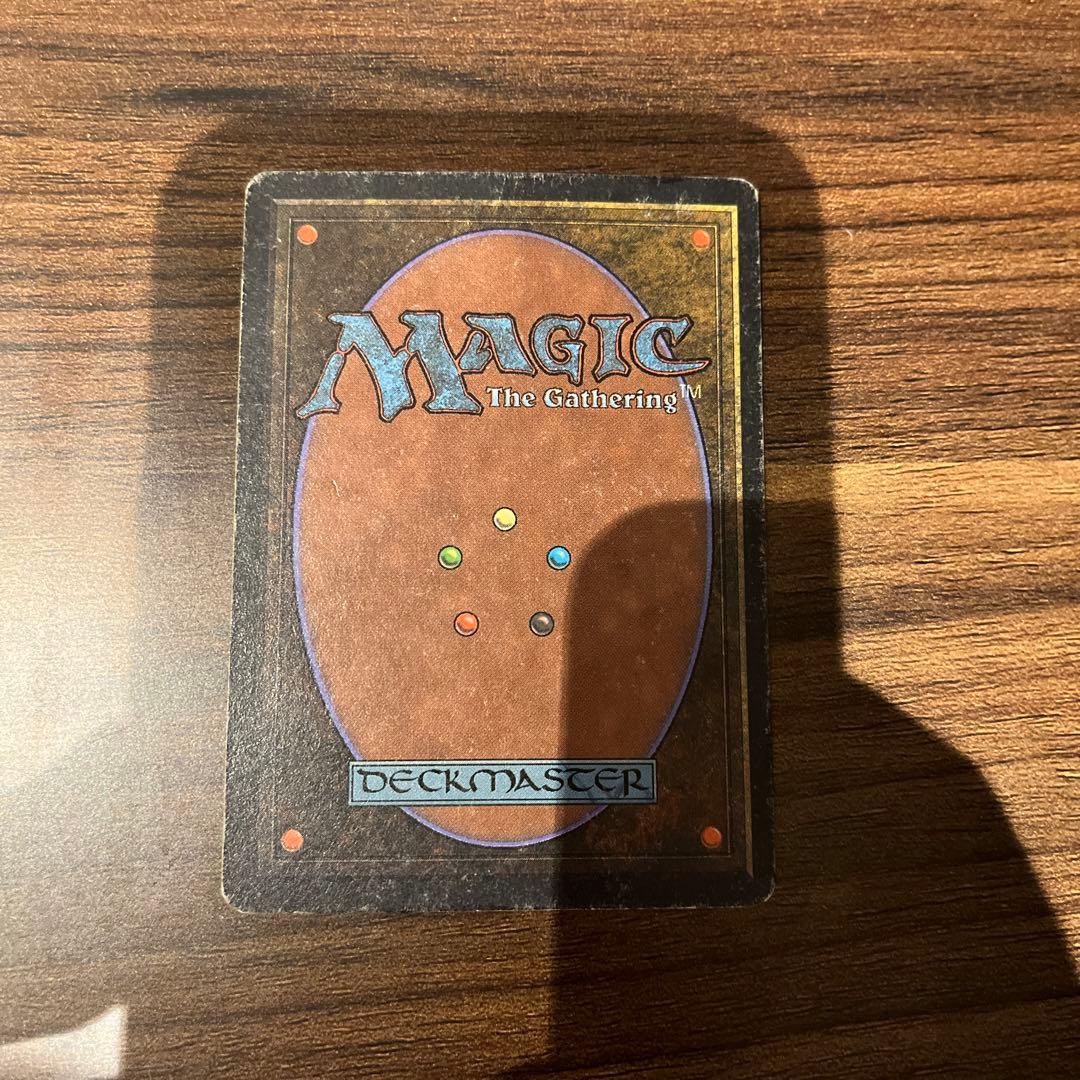 tropical  mtg デュアルランド