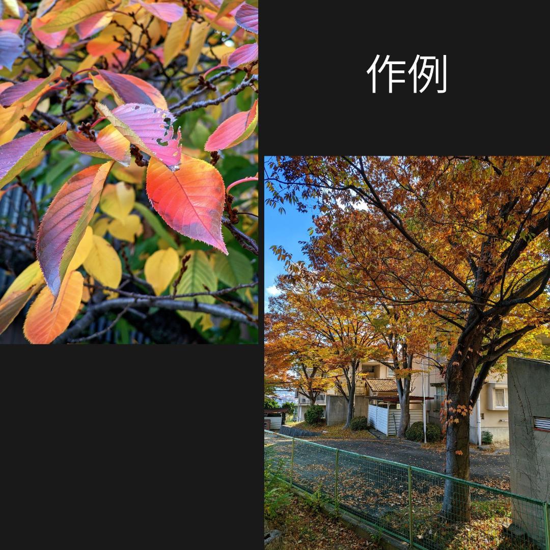 らま Motorola S50 12+256 軽量コンパクト 4眼カメラ