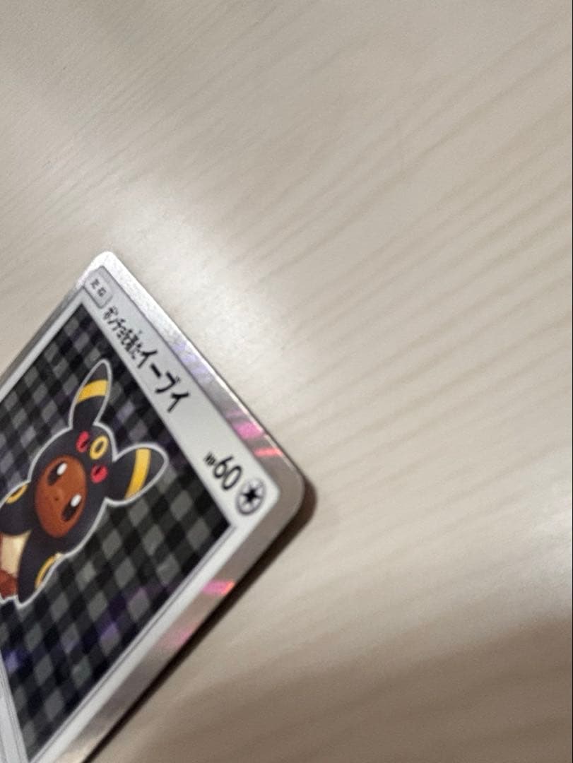 ポンチョを着たイーブイ　ブラッキー