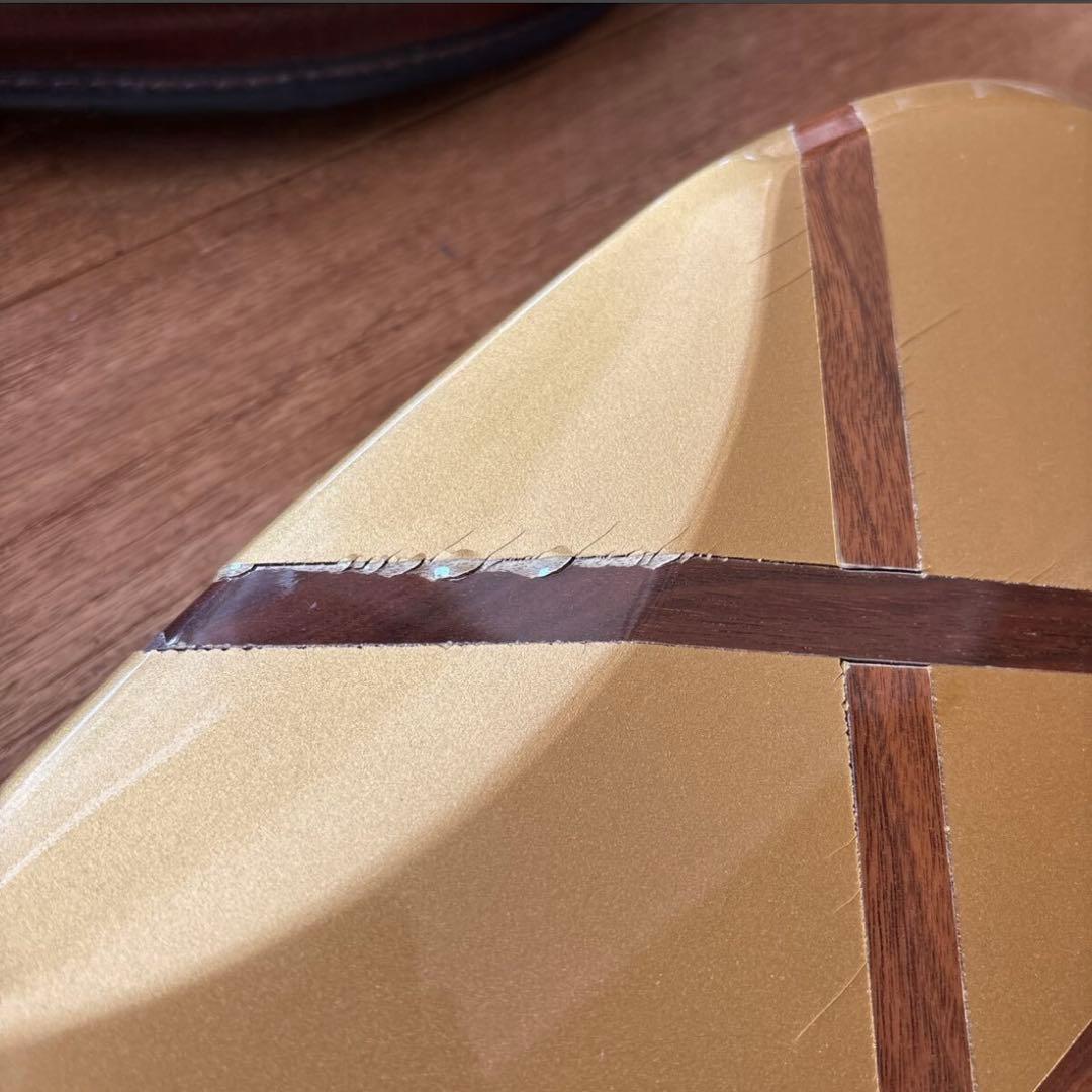 アンダーソン アップルギター