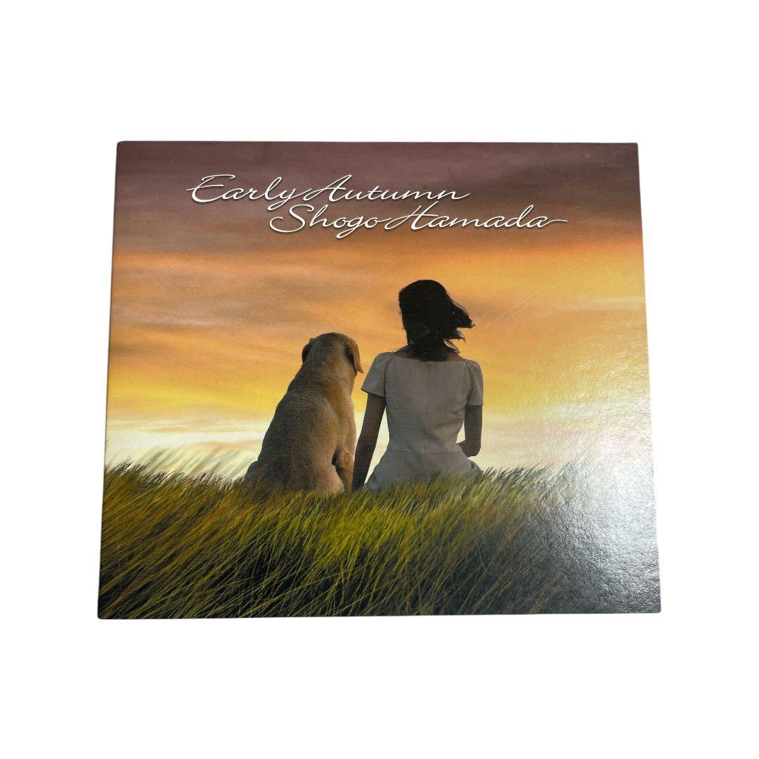 【定価6万相当】浜田省吾 CD・DVD 12点セット／ストラップ付き