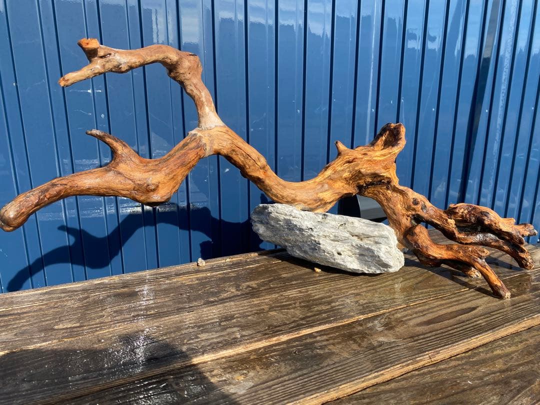 流木レイアウト A860