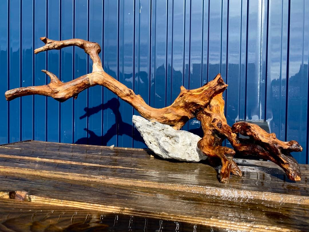 流木レイアウト A860