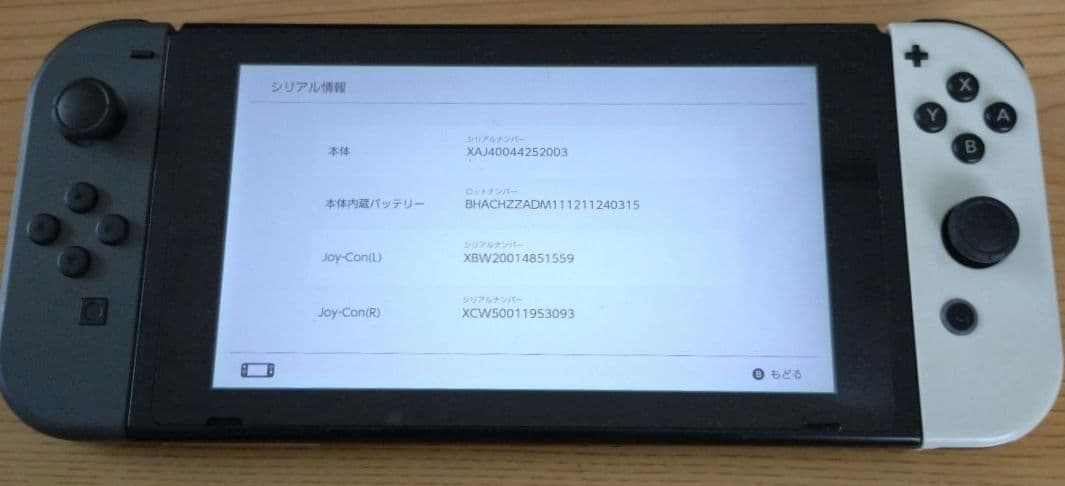 【動作確認済】ニンテンドー 任天堂 Switch 本体