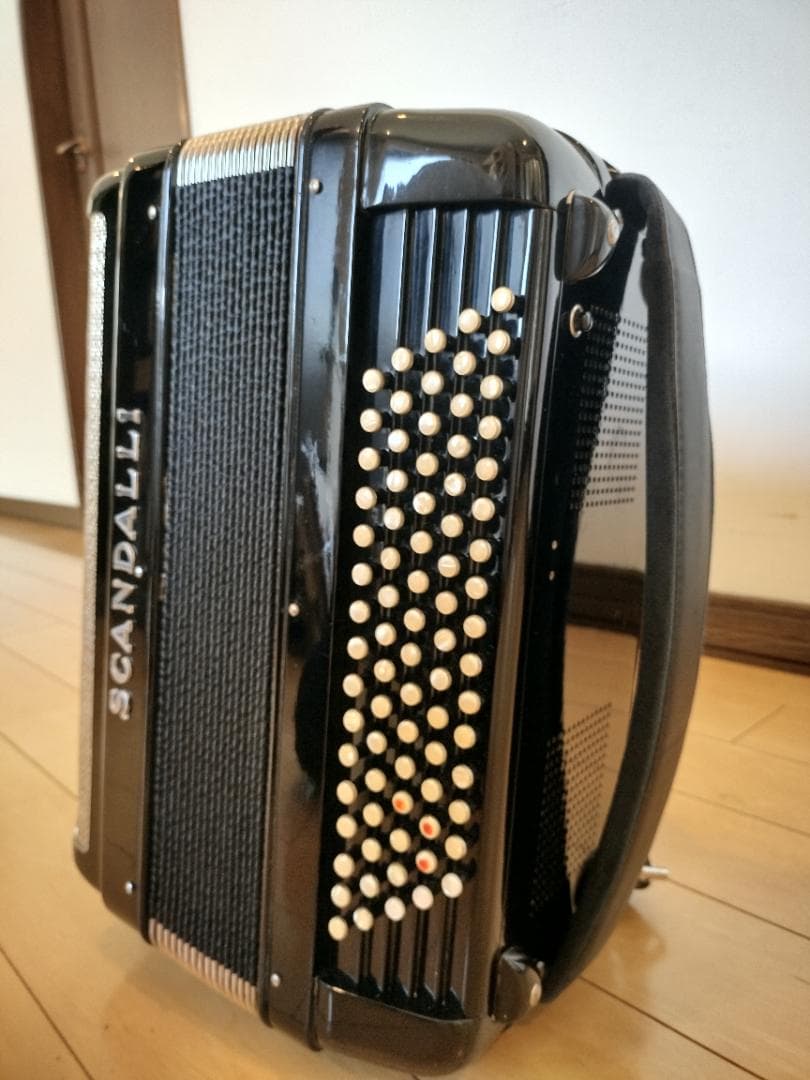 ⭐︎イタリア製⭐︎SCANDALLI ボタン式アコーディオン ソフトケース付