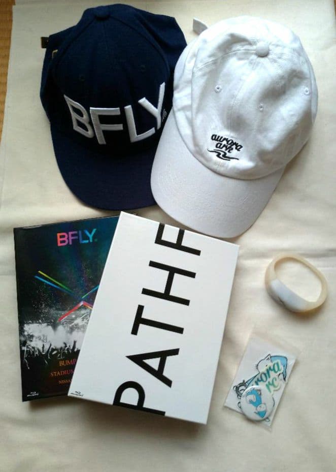 BUMP OF CHICKEN17点グッズまとめ売り