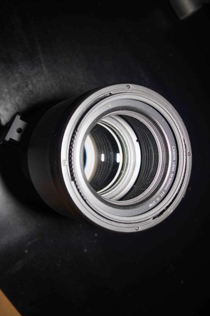 キヤノン RF800mm F11 IS STM