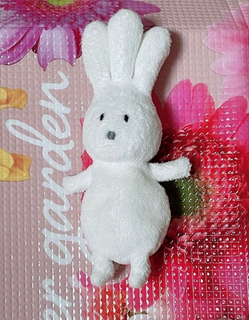 【即購入可・希少商品】バムとケロ おじぎちゃんぬいぐるみ