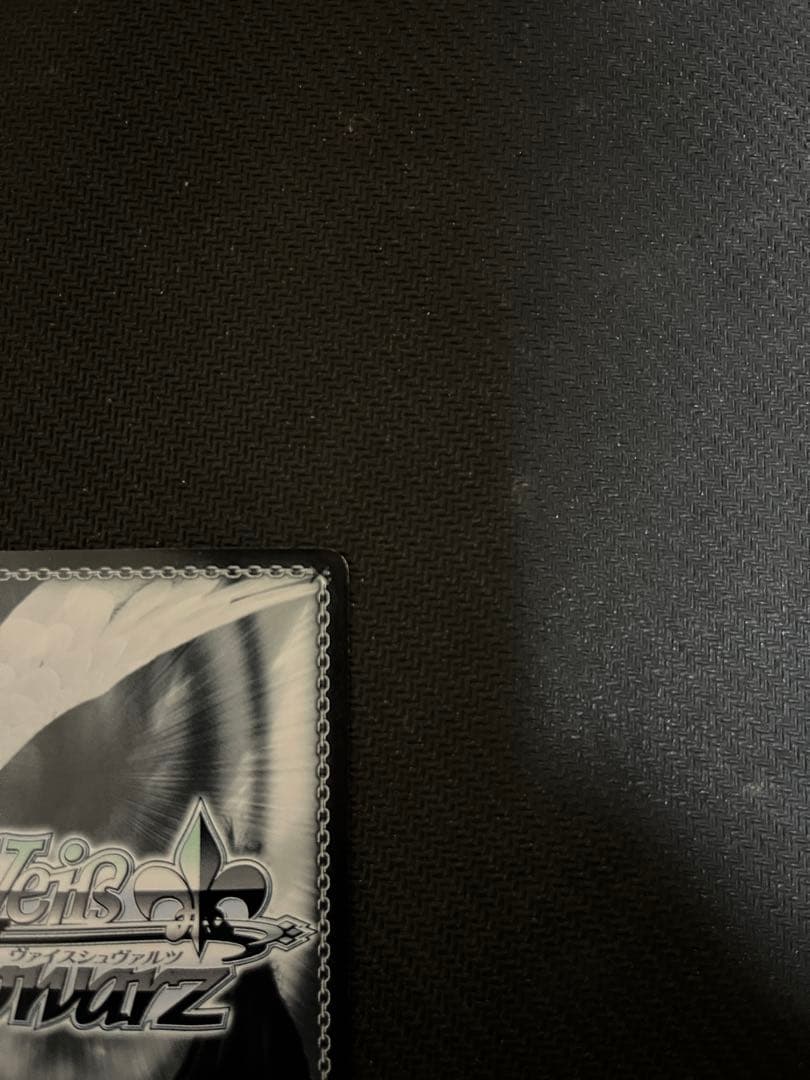 いつものハルヒ　SP ヴァイスシュバルツ　平野綾　サイン　涼宮ハルヒの憂鬱