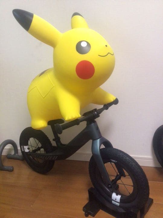 【確認用】レース用 ストライダー①フルカーボン